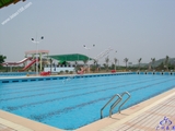 标准泳池2.jpg
